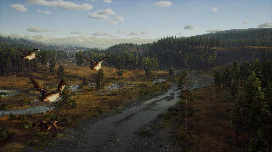 Way Of The Hunter - Occasion