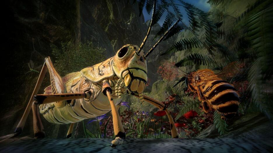 Bee Simulator The Hive Slipcase Edition