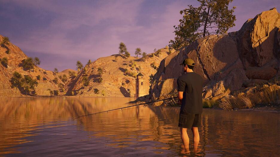 The Catch Carp And Coarse Collector's Edition - Occasion